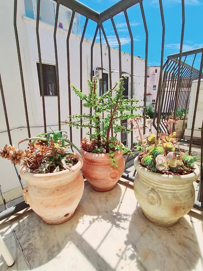 Fortuna Guest House Syracuse